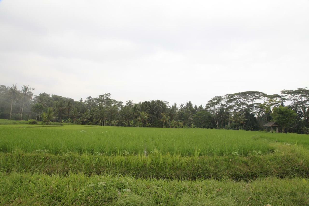Pondok Gepokan Homestay Убуд Экстерьер фото